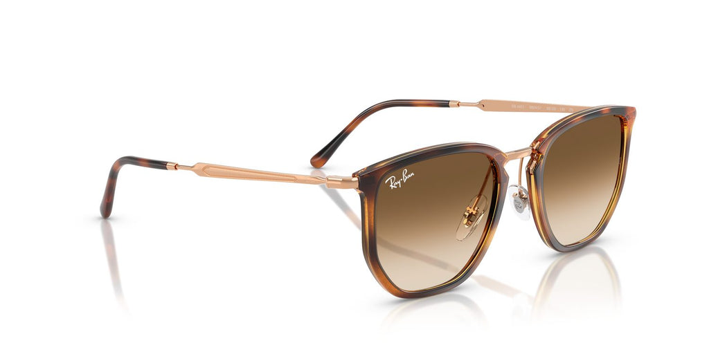 Ray-Ban | 0RB4451