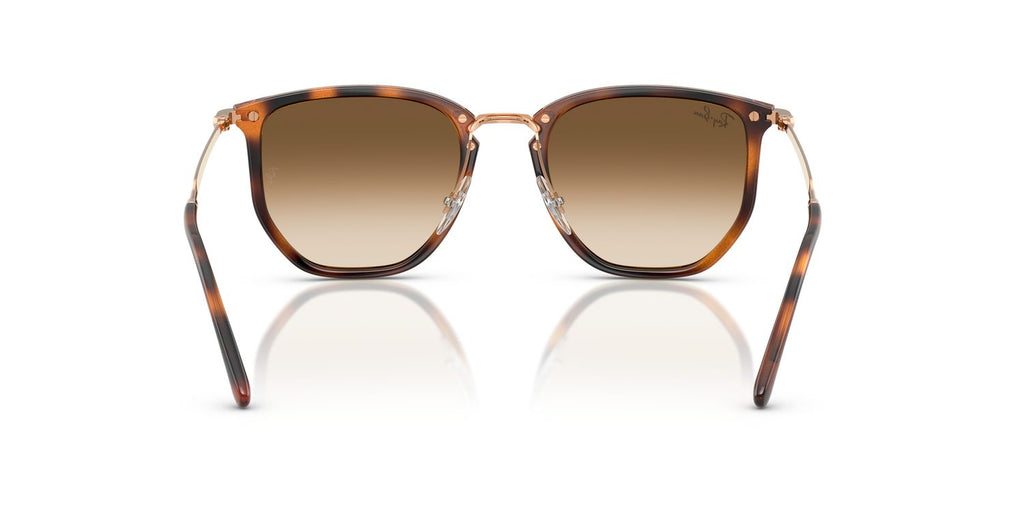 Ray-Ban | 0RB4451