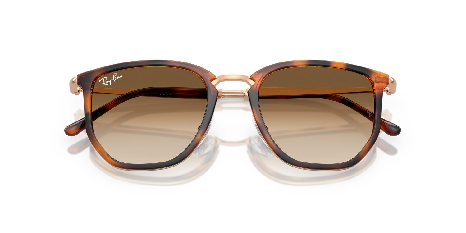 Ray-Ban | 0RB4451