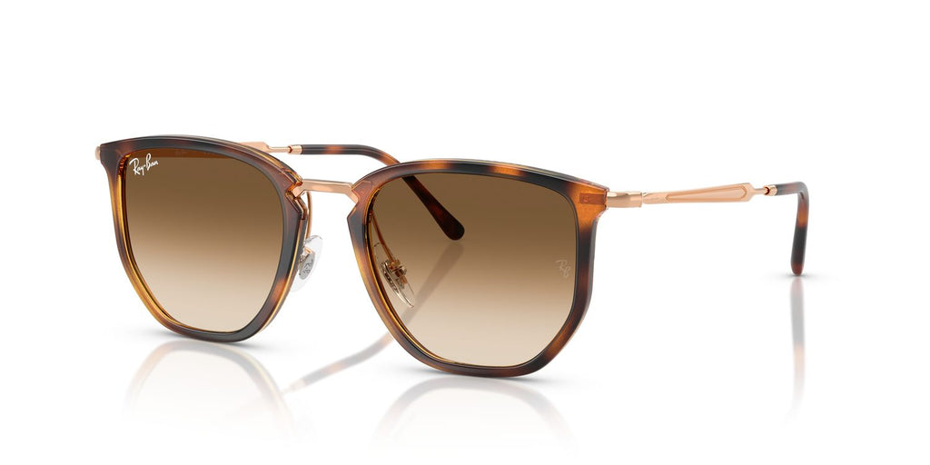 Ray-Ban | 0RB4451