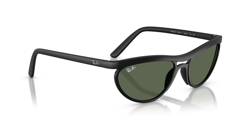 Ray-Ban | 0RB4453