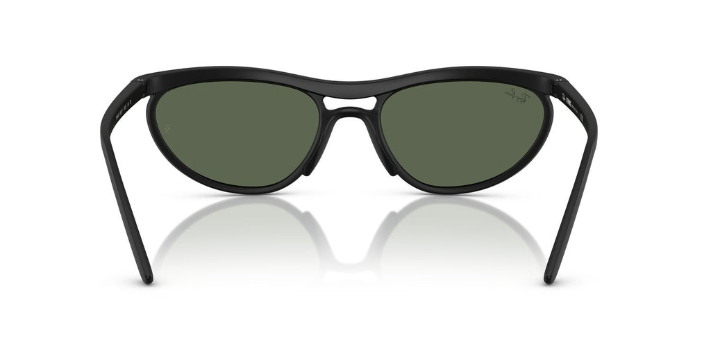 Ray-Ban | 0RB4453