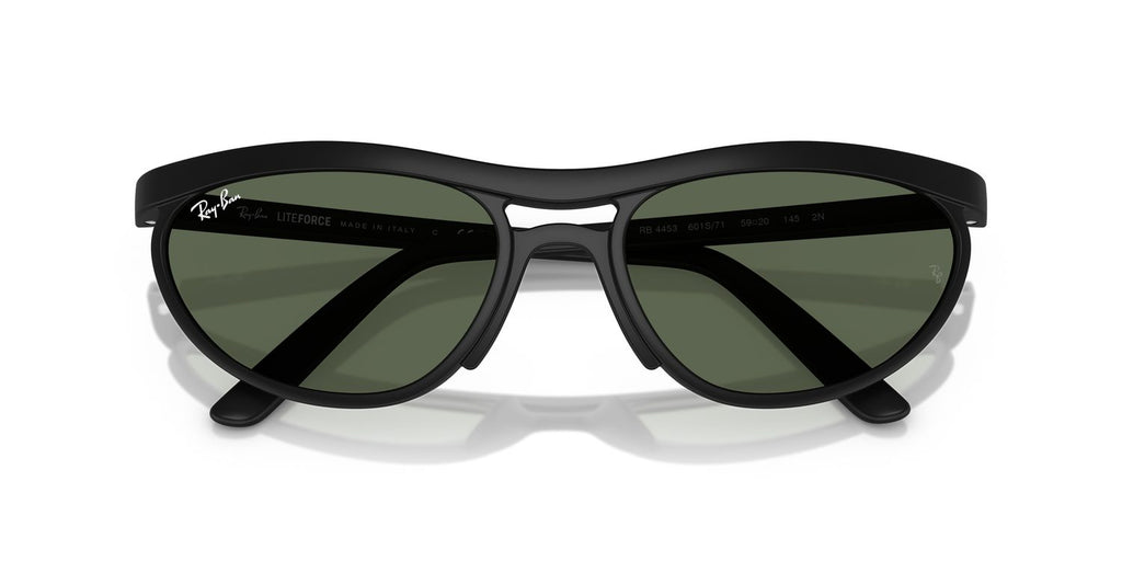 Ray-Ban | 0RB4453