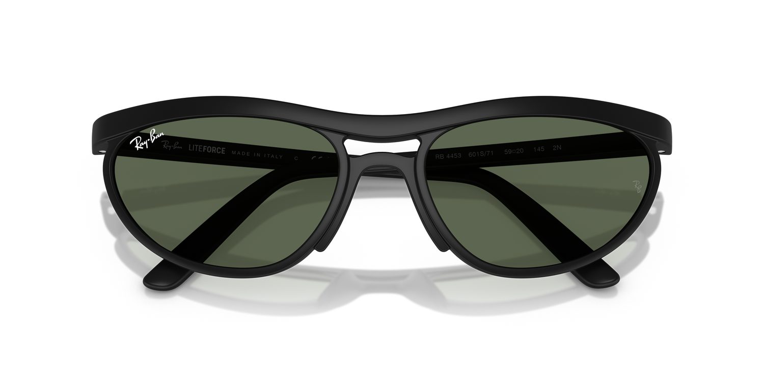 Ray-Ban | 0RB4453