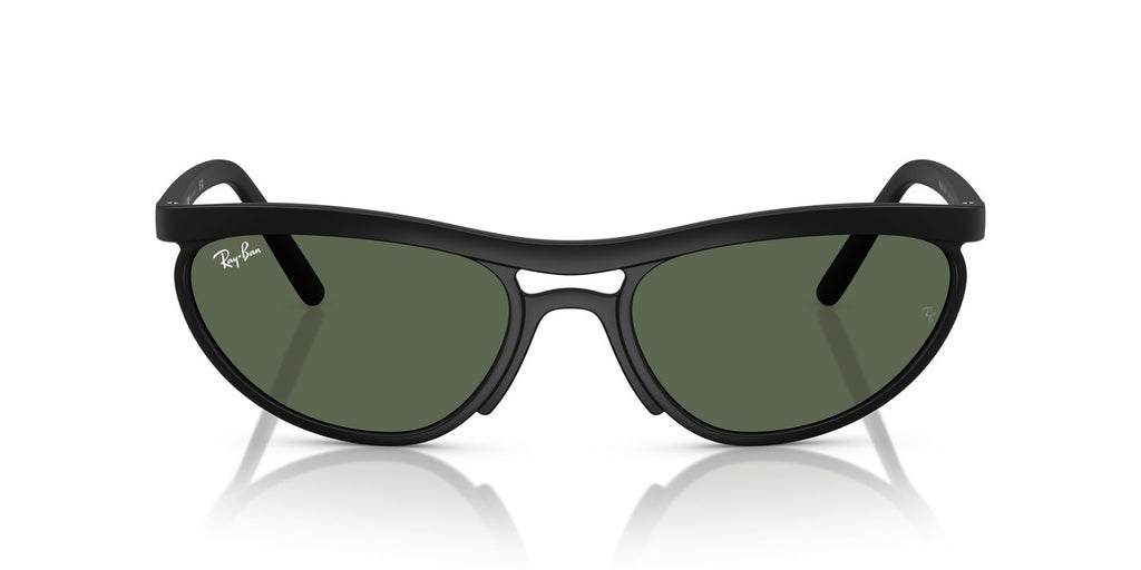 Ray-Ban | 0RB4453