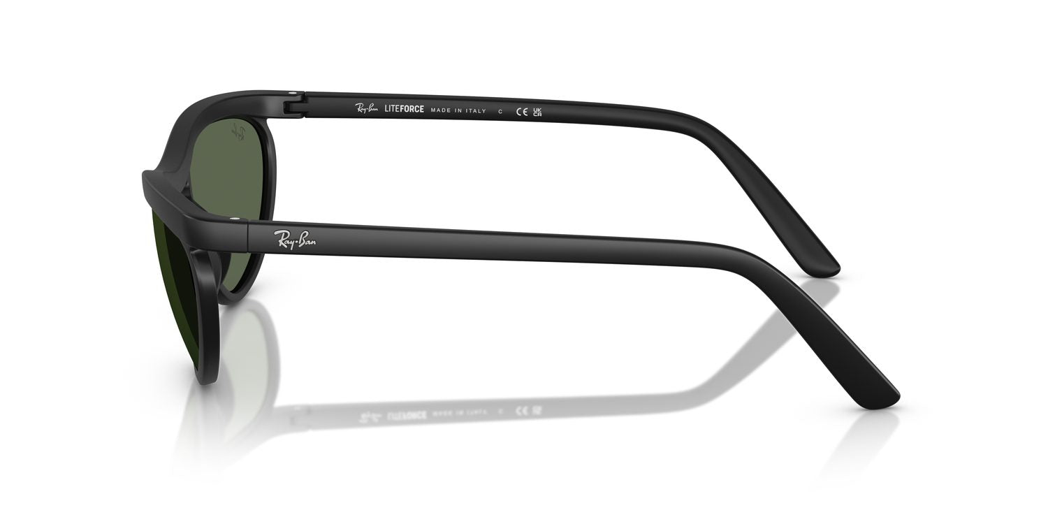 Ray-Ban | 0RB4453
