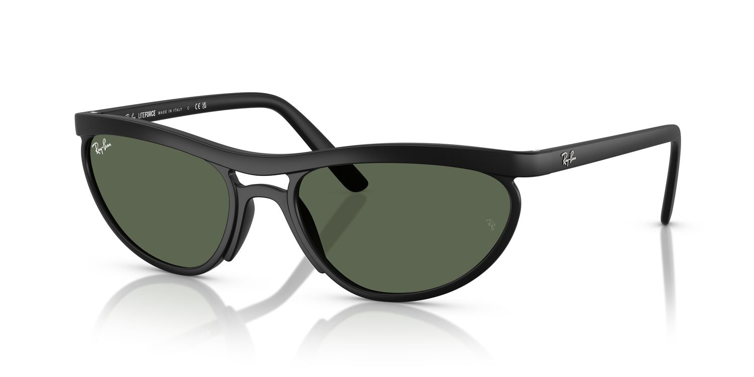 Ray-Ban | 0RB4453