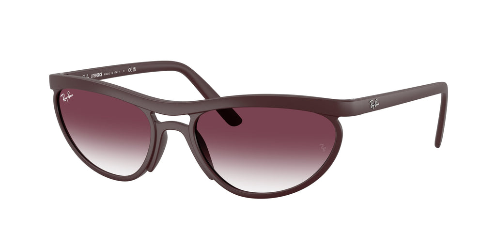 Ray-Ban | 0RB4453
