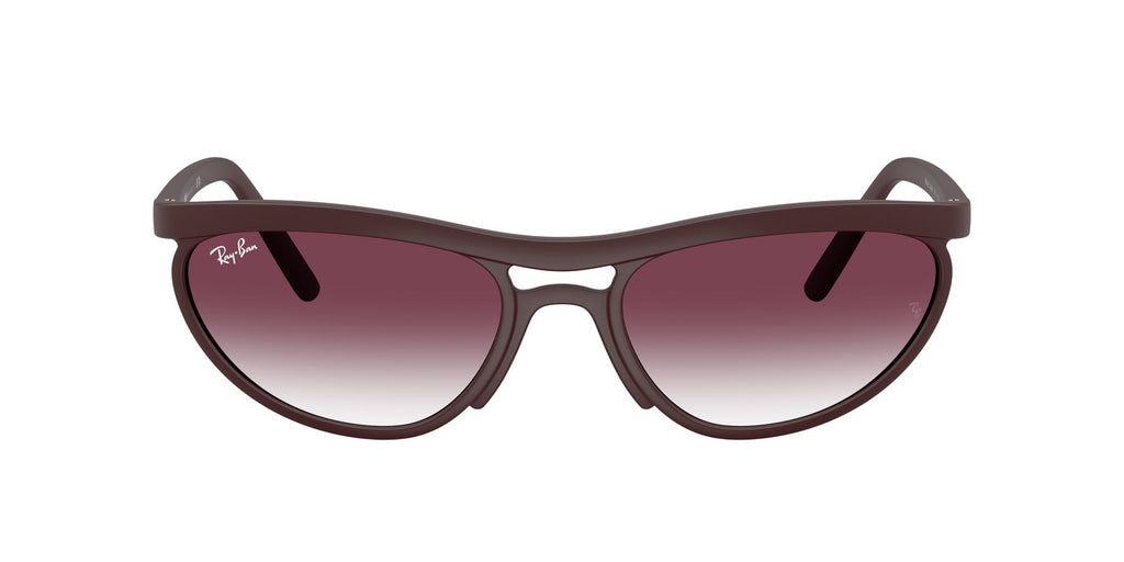 Ray-Ban | 0RB4453