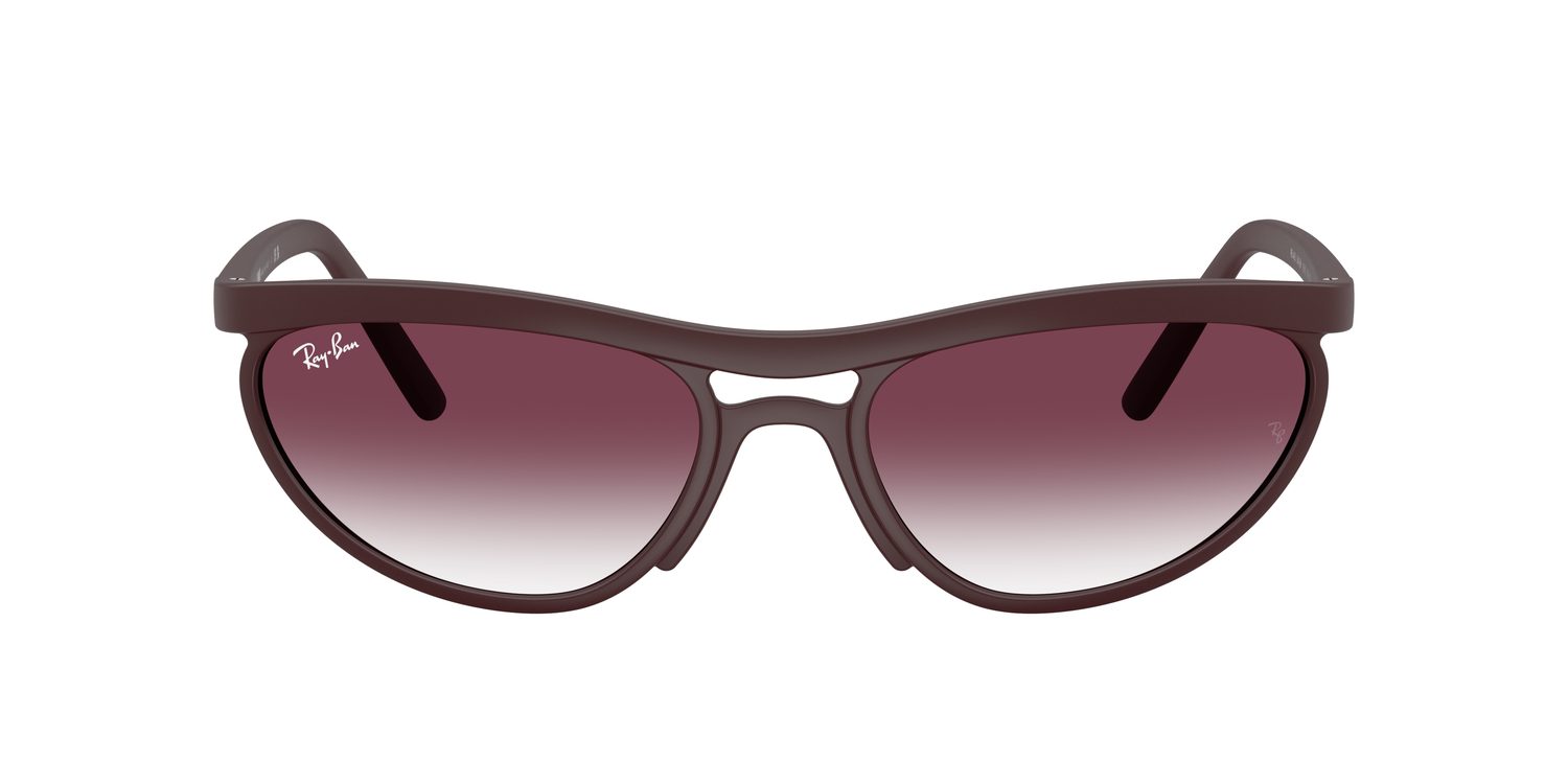 Ray-Ban | 0RB4453