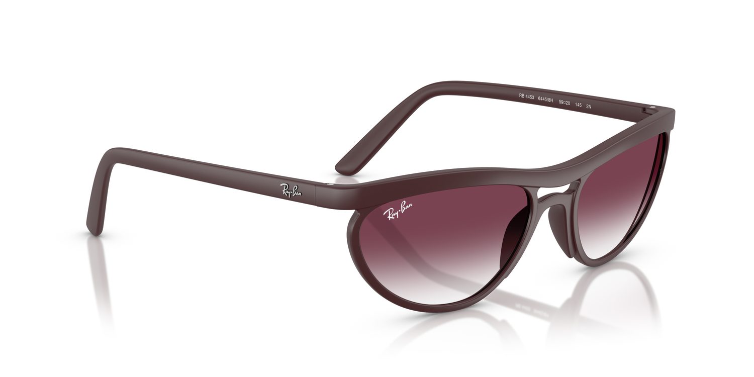 Ray-Ban | 0RB4453