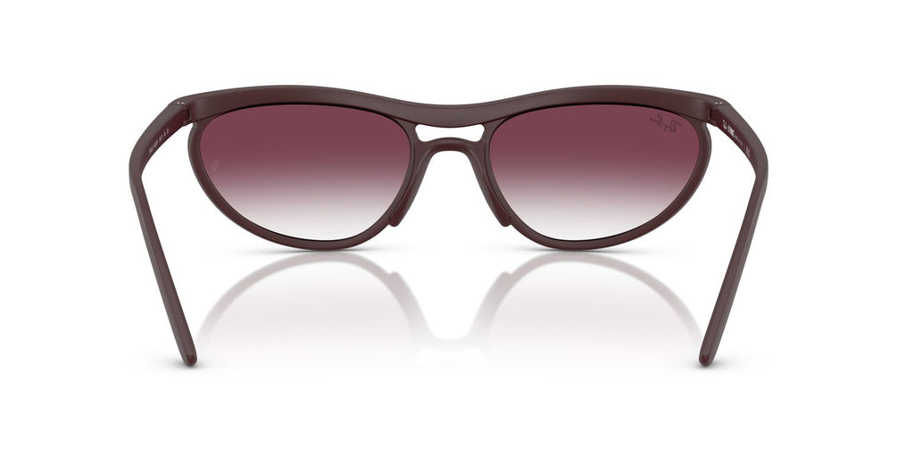 Ray-Ban | 0RB4453