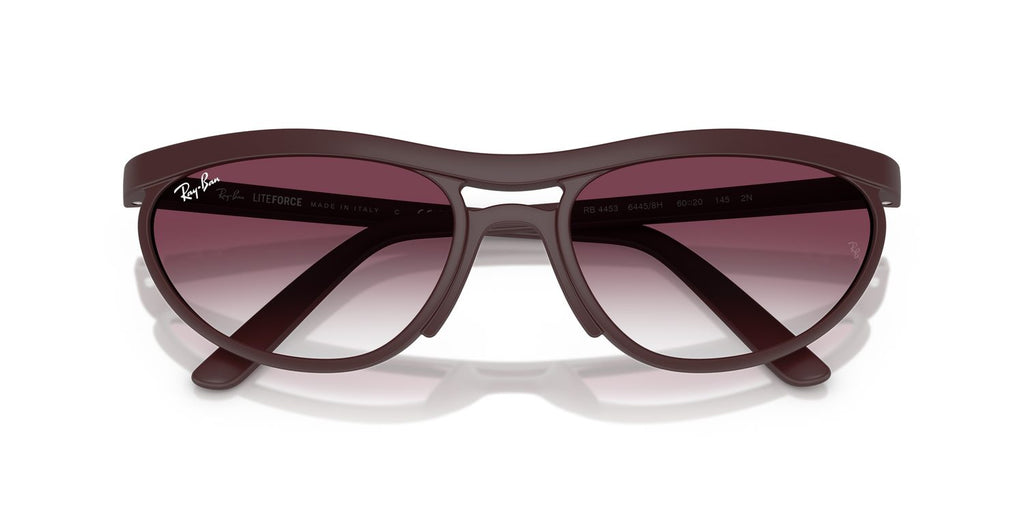 Ray-Ban | 0RB4453