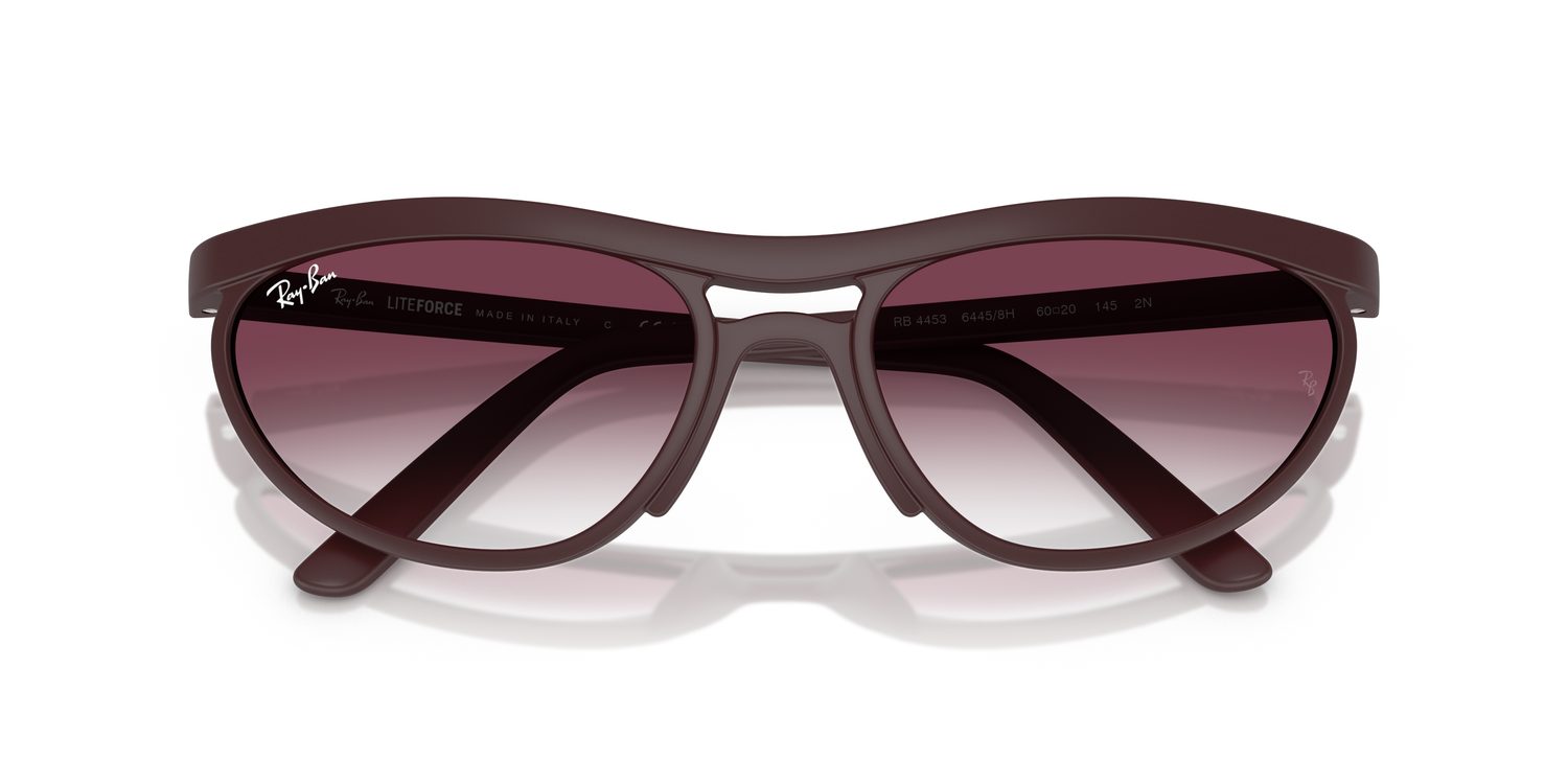 Ray-Ban | 0RB4453
