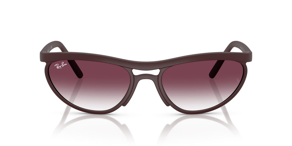 Ray-Ban | 0RB4453
