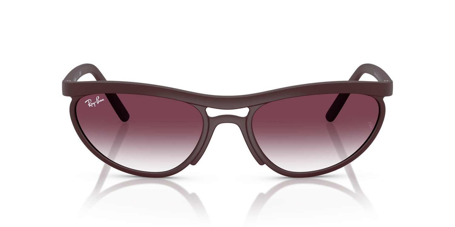 Ray-Ban | 0RB4453