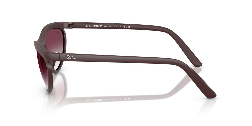 Ray-Ban | 0RB4453