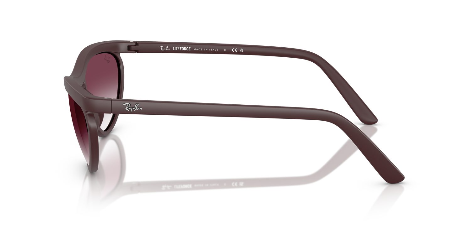 Ray-Ban | 0RB4453