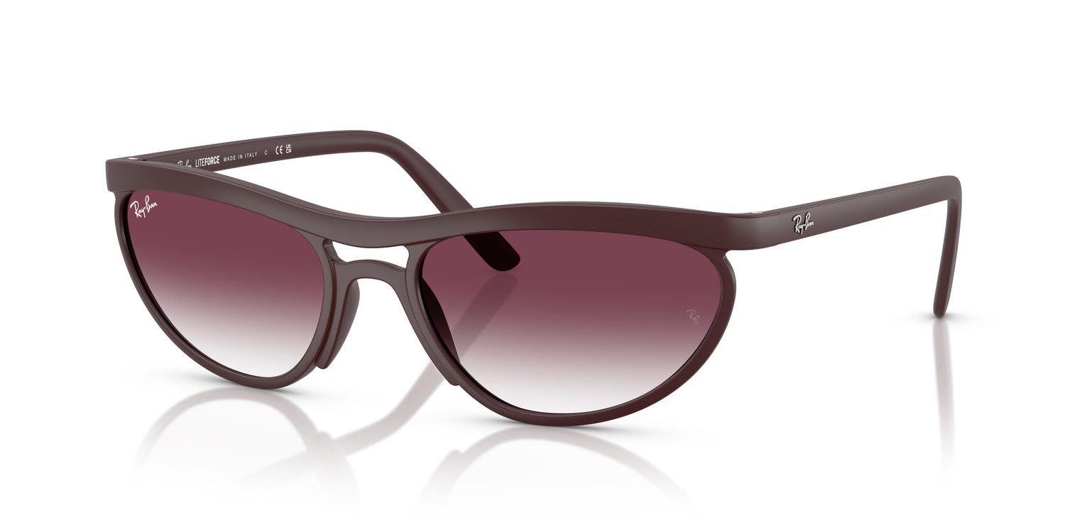 Ray-Ban | 0RB4453