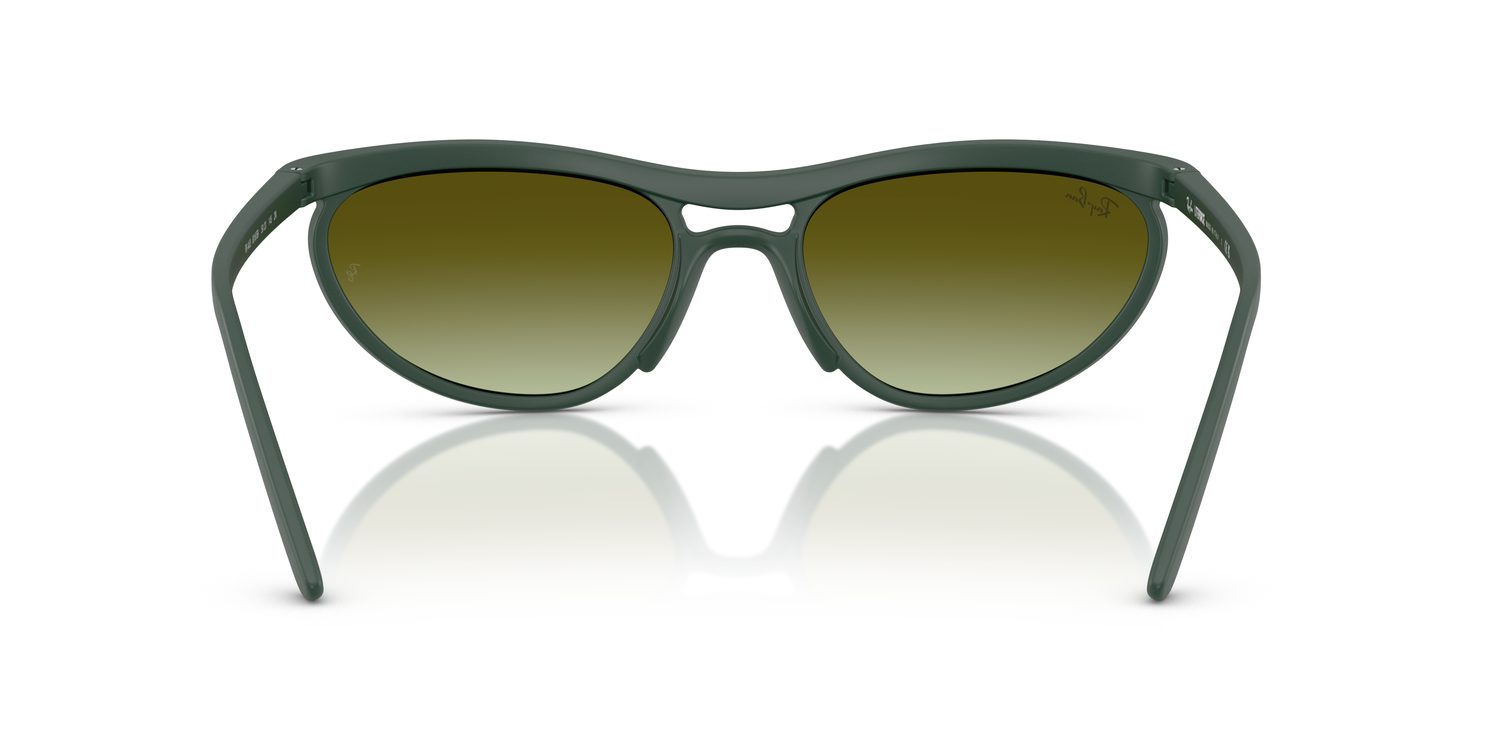 Ray-Ban | 0RB4453