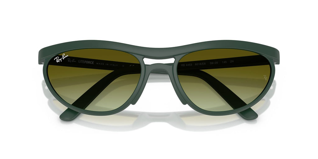 Ray-Ban | 0RB4453
