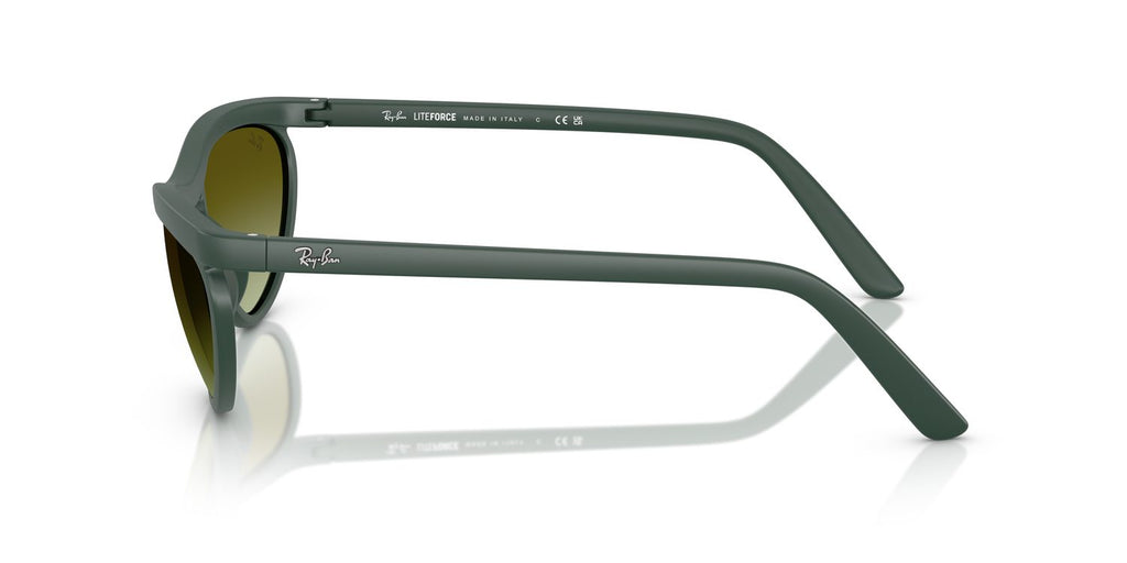 Ray-Ban | 0RB4453
