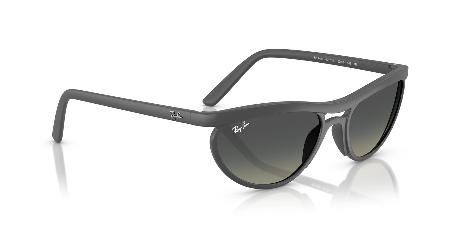 Ray-Ban | 0RB4453