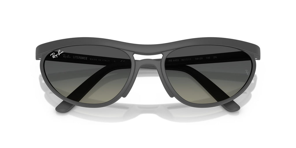 Ray-Ban | 0RB4453