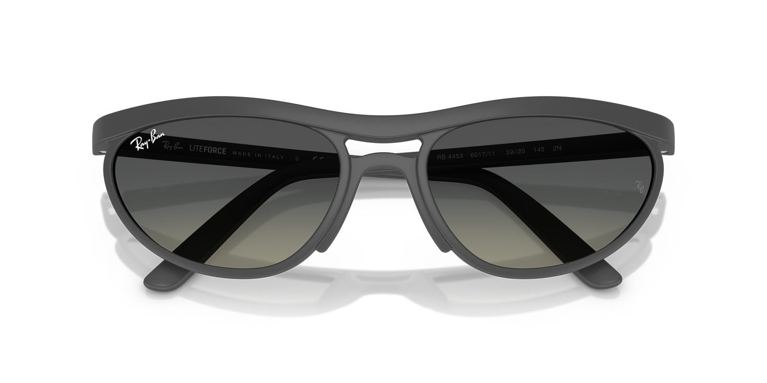 Ray-Ban | 0RB4453