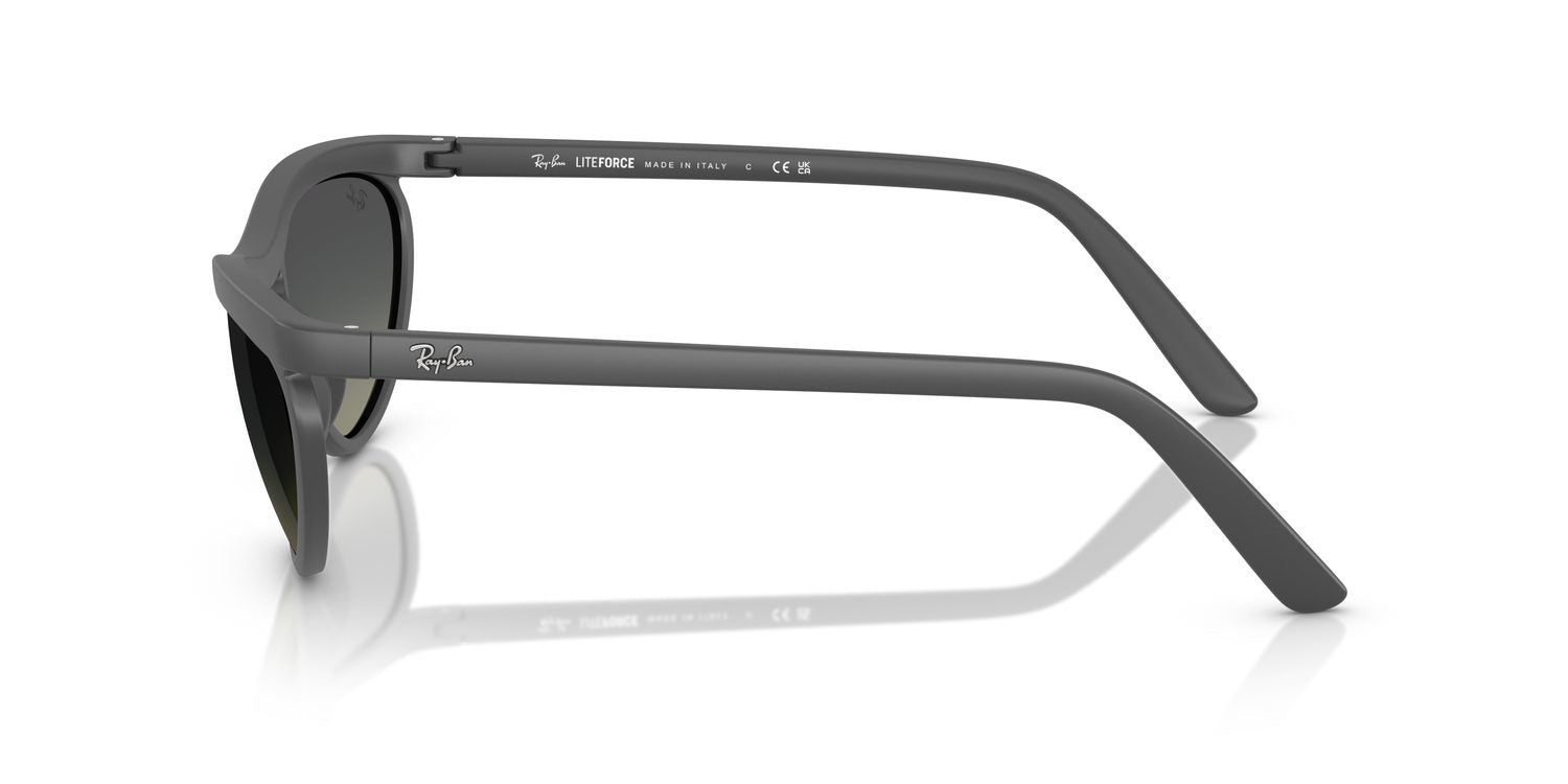 Ray-Ban | 0RB4453