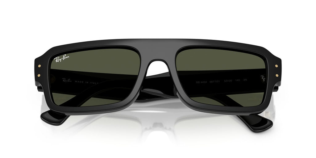 Ray-Ban | 0RB4454