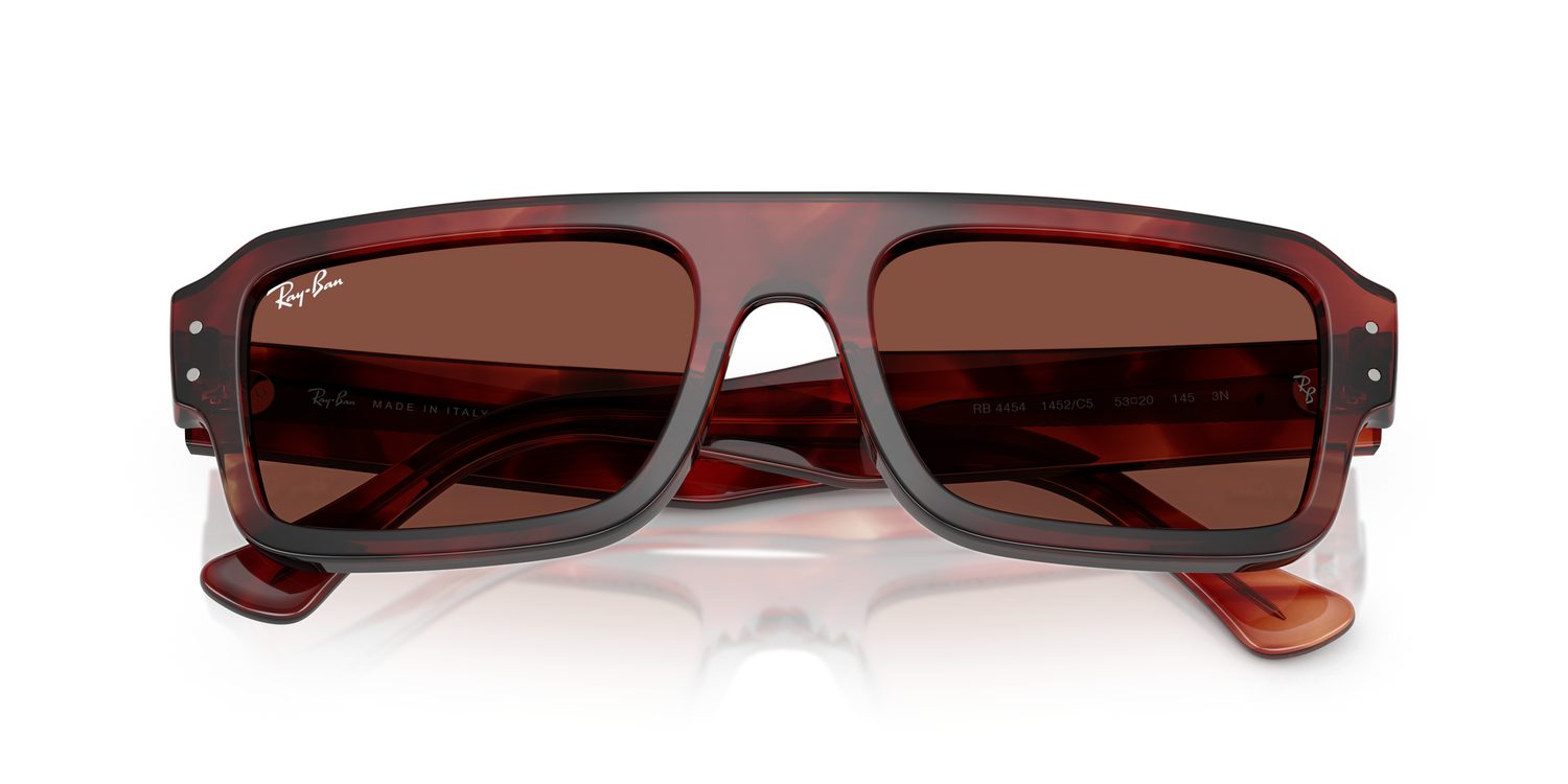 Ray-Ban | 0RB4454