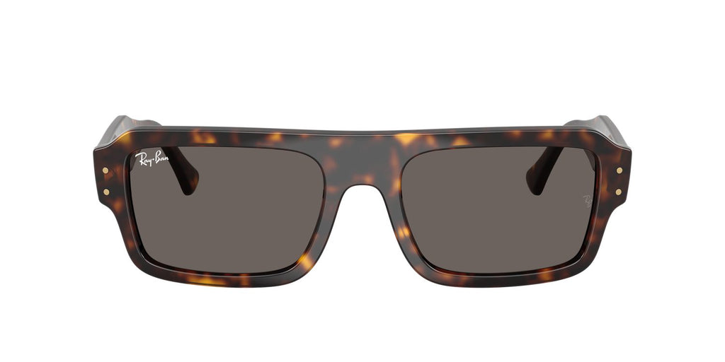 Ray-Ban | 0RB4454