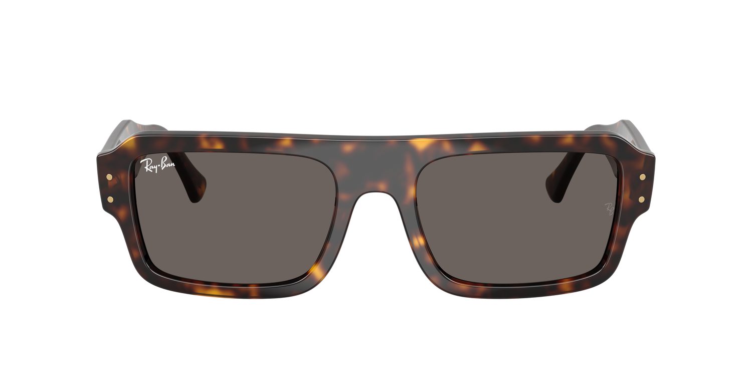 Ray-Ban | 0RB4454