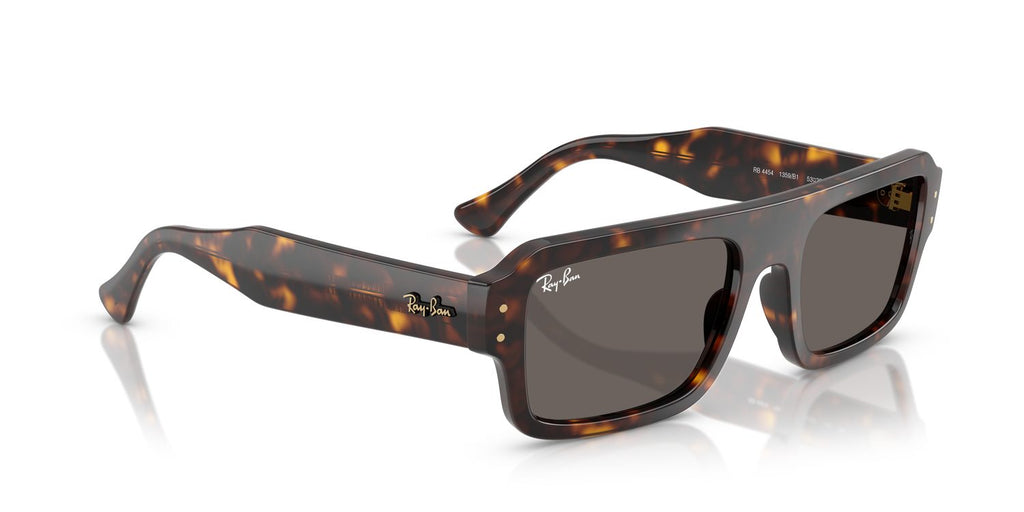 Ray-Ban | 0RB4454