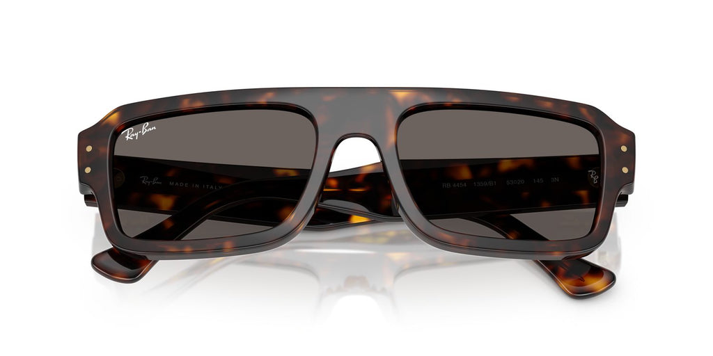 Ray-Ban | 0RB4454