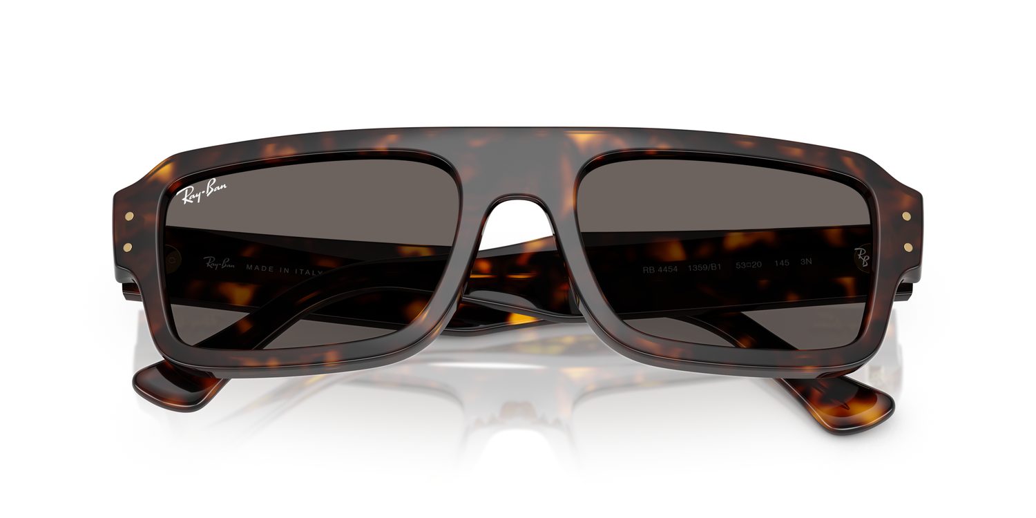 Ray-Ban | 0RB4454