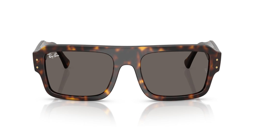 Ray-Ban | 0RB4454
