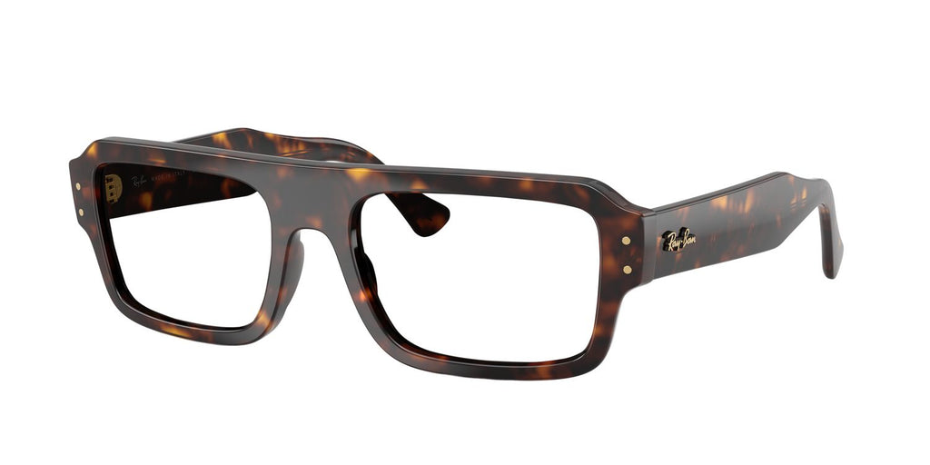 Ray-Ban | 0RB4454
