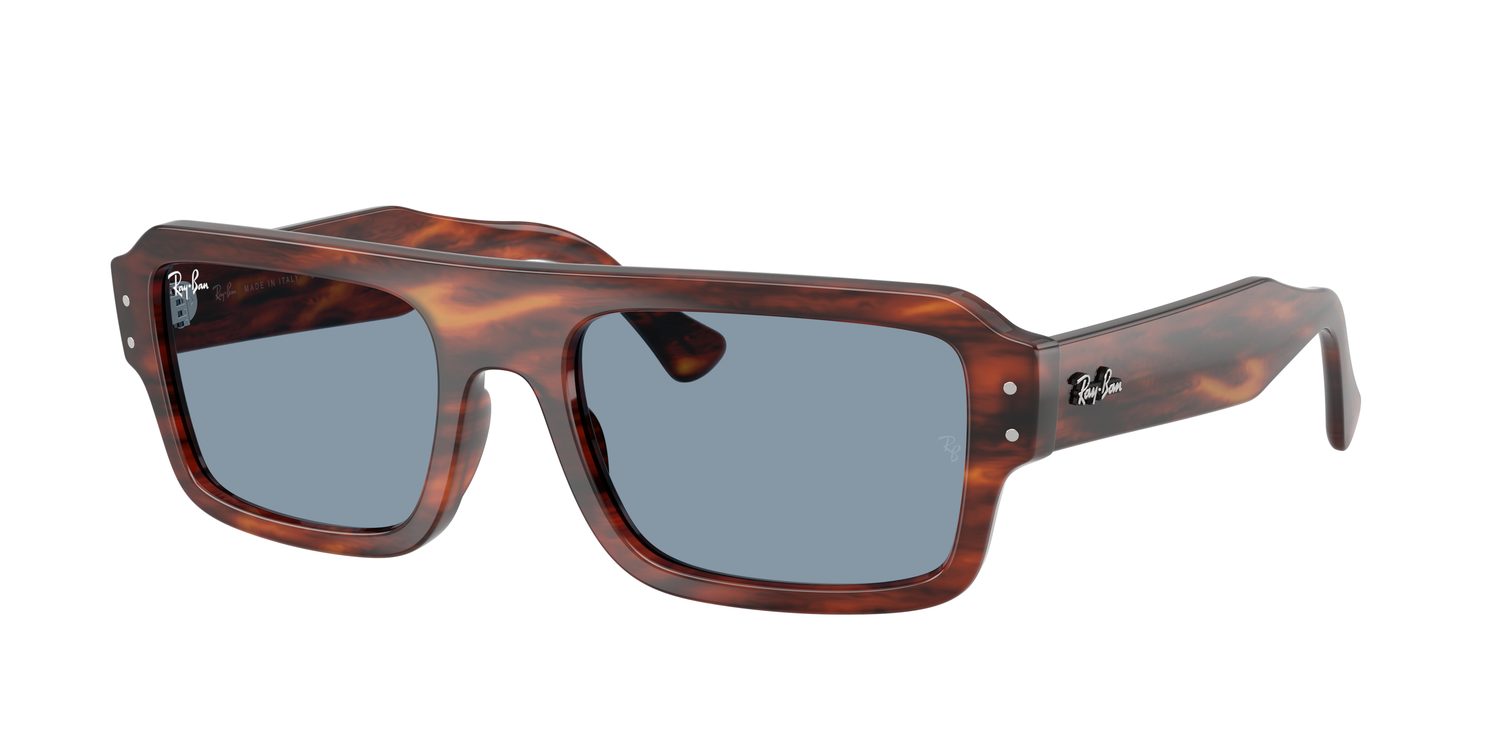 Ray-Ban | 0RB4454