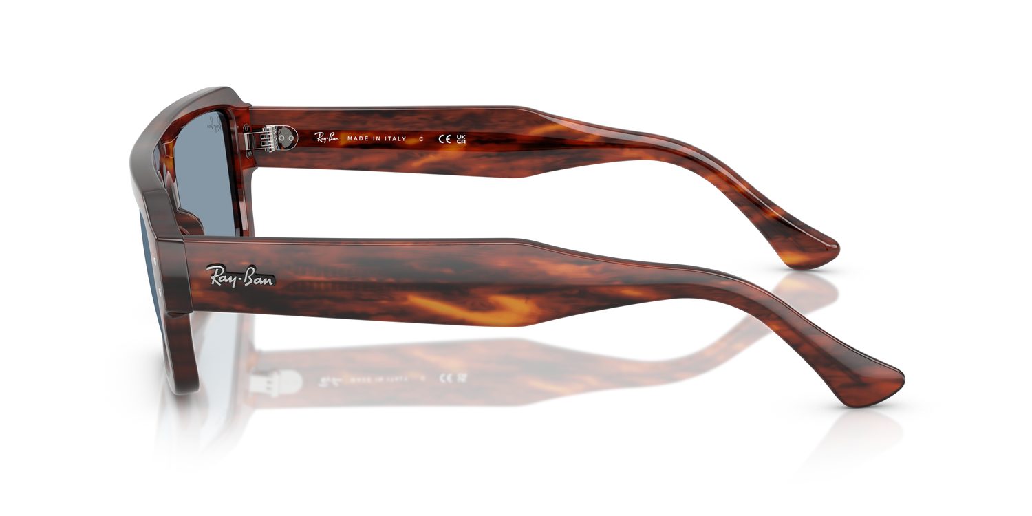 Ray-Ban | 0RB4454