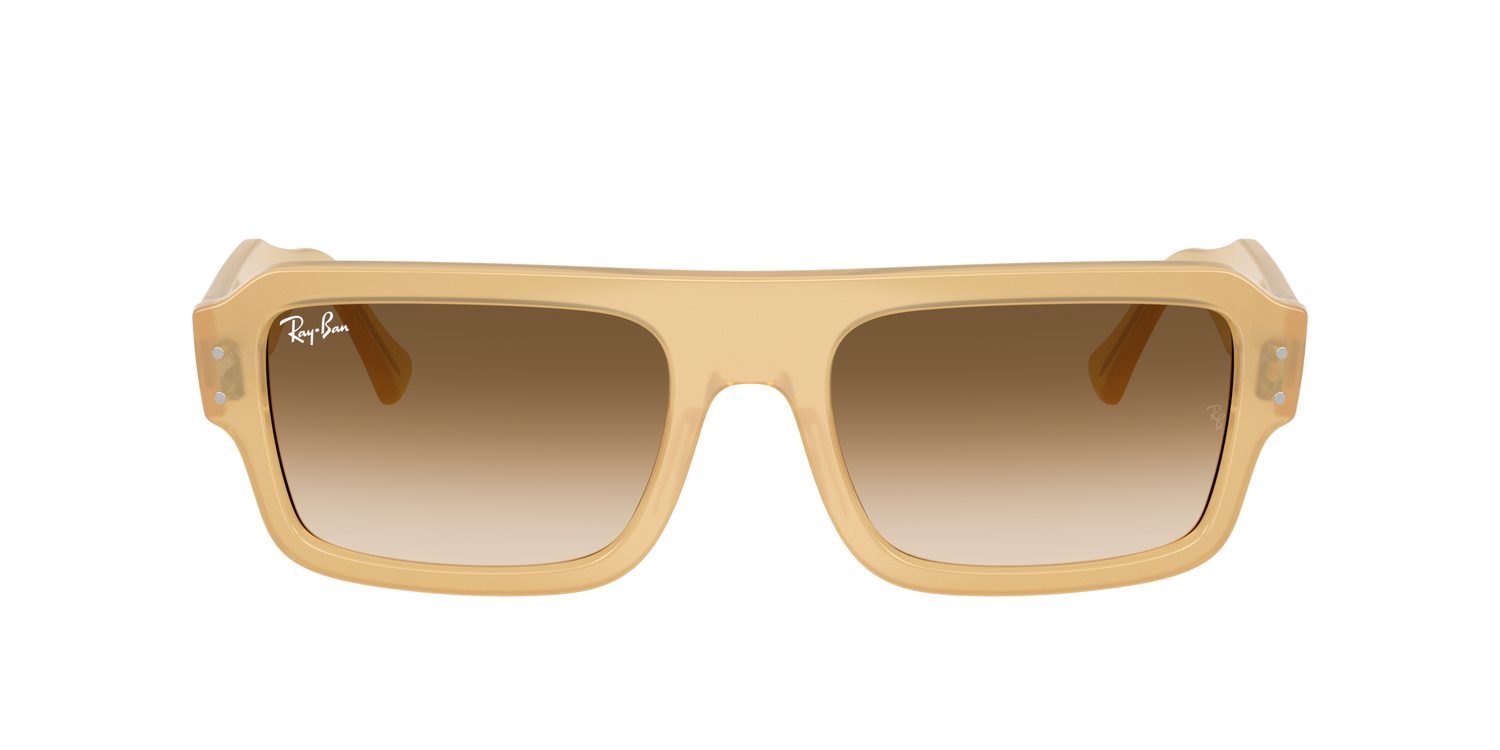 Ray-Ban | 0RB4454