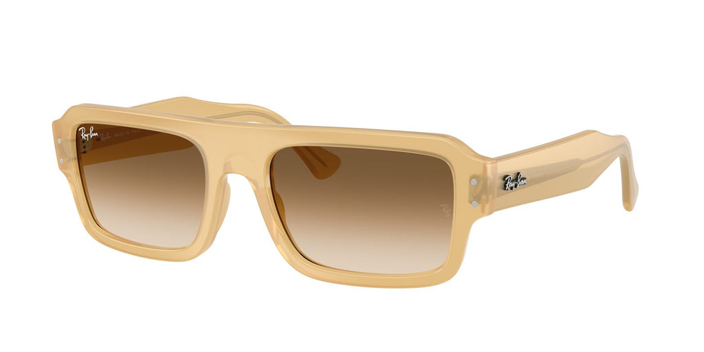 Ray-Ban | 0RB4454