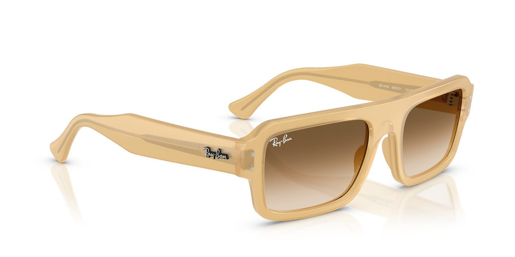 Ray-Ban | 0RB4454