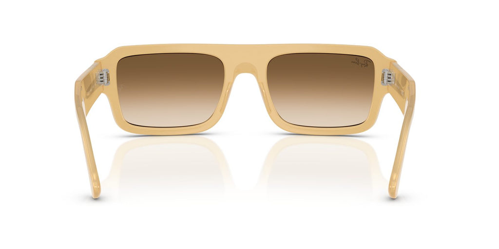 Ray-Ban | 0RB4454