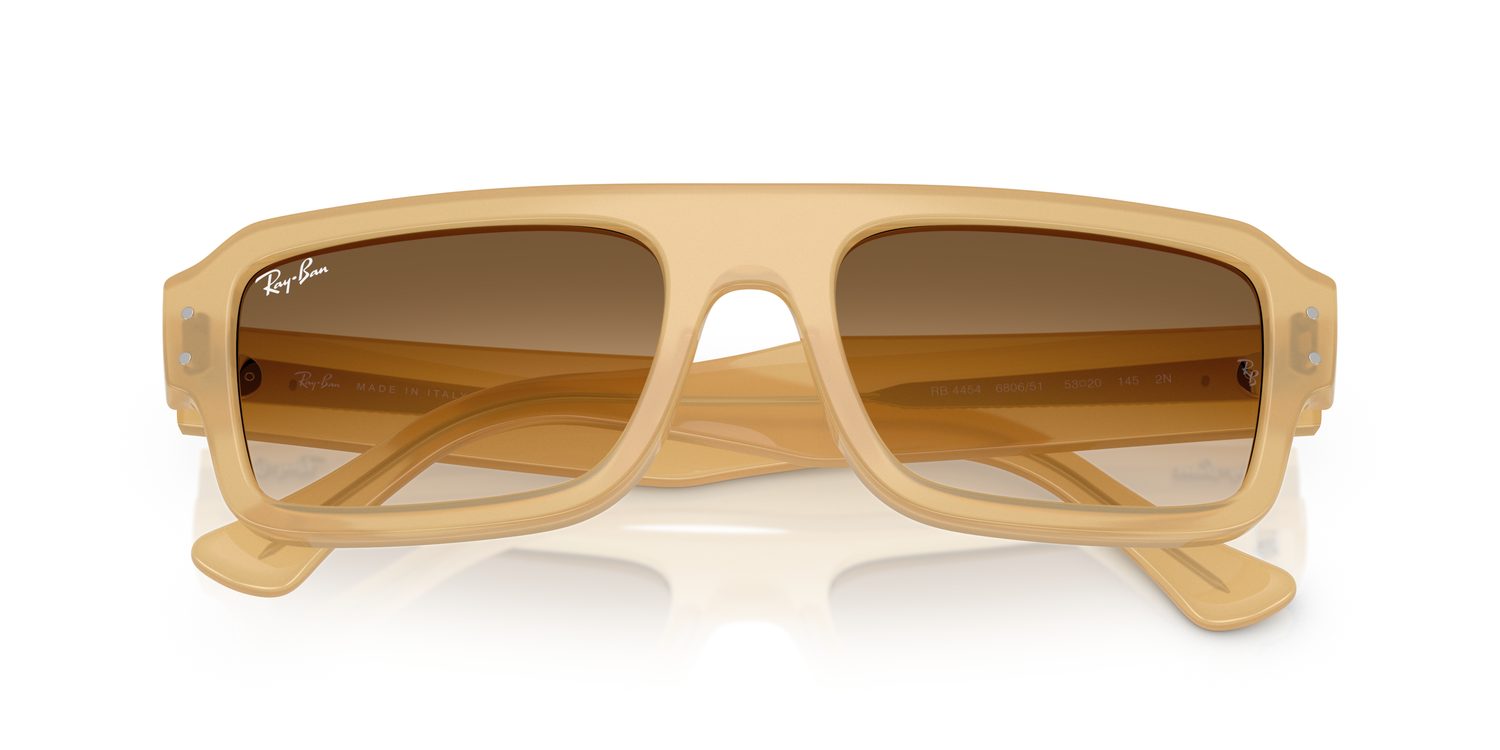 Ray-Ban | 0RB4454