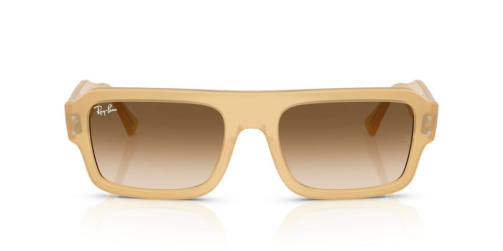 Ray-Ban | 0RB4454