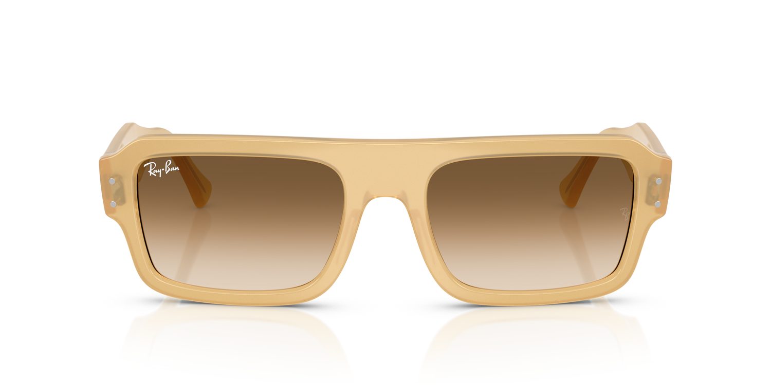 Ray-Ban | 0RB4454