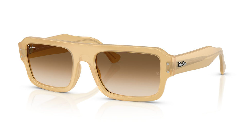 Ray-Ban | 0RB4454