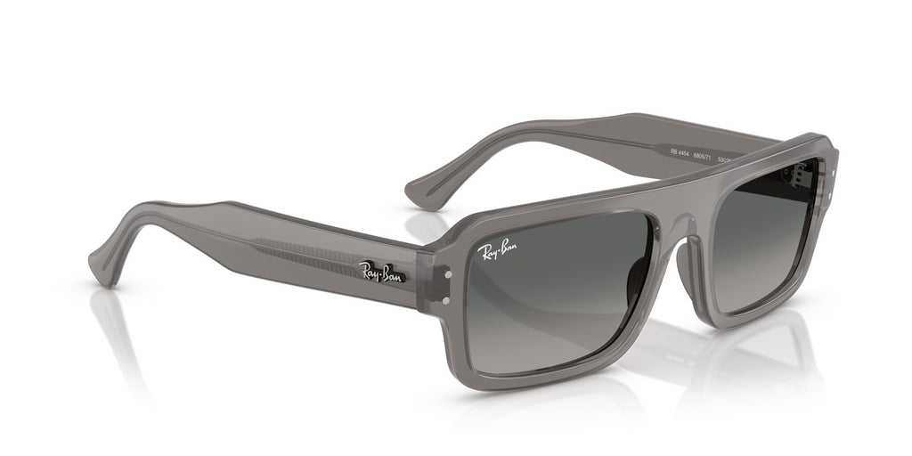 Ray-Ban | 0RB4454